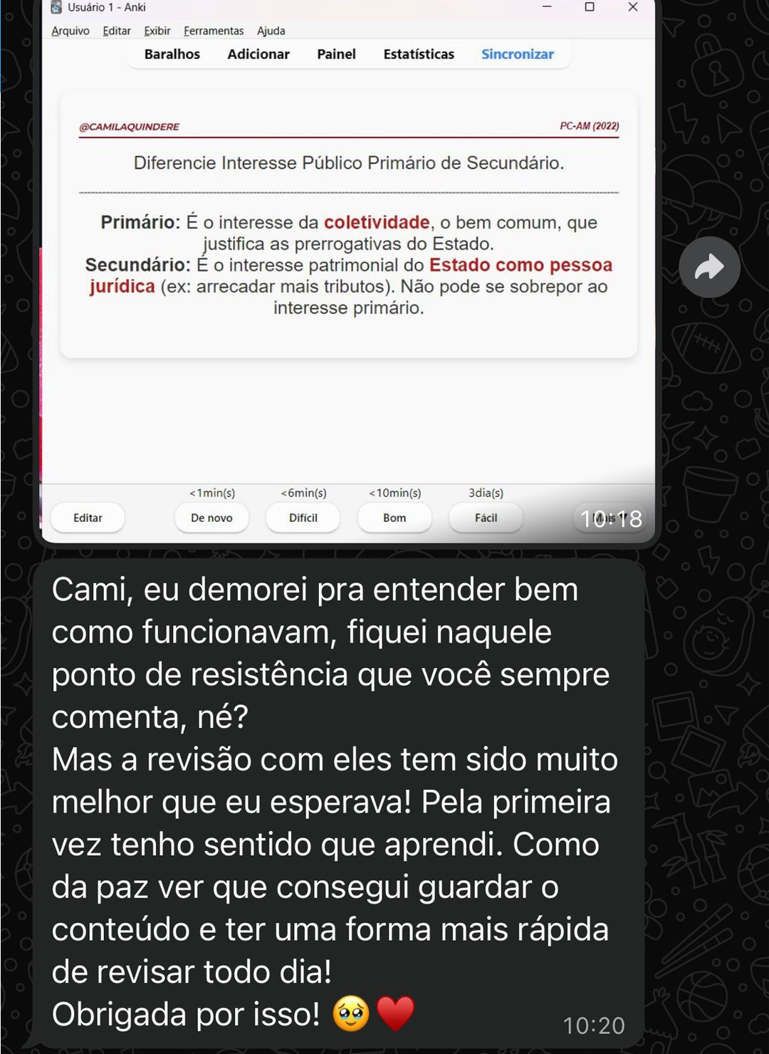 novo depoimento camila 02